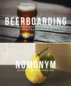 Beerboarding_Nomonym